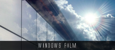 Window Film